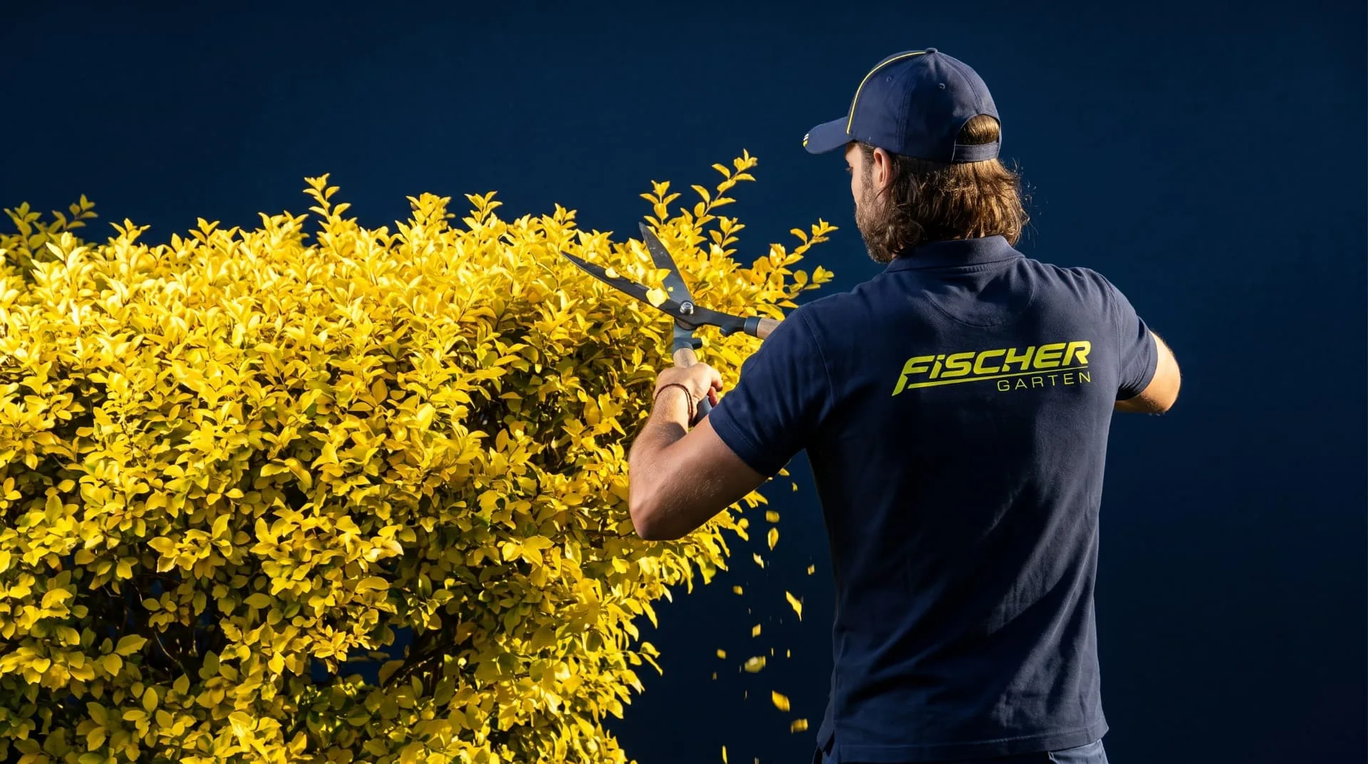 Formschnitt an der Hecke