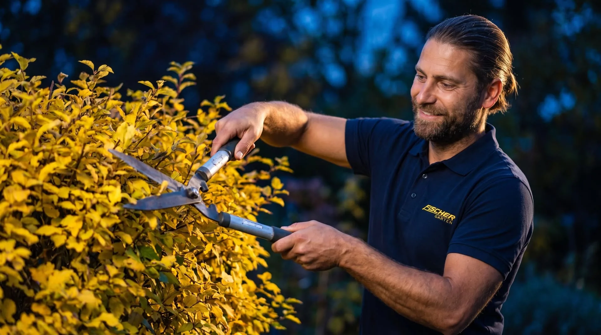 Stefan Fischer schneidet eine Hecke im Abendlicht